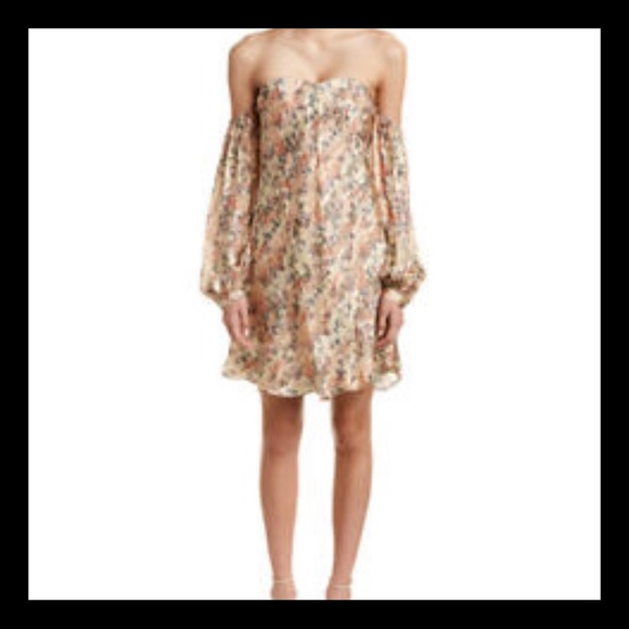 Haute Hippie Dresses & Skirts - HAUTE HIPPIE My Amour Silk Floral Dress NWT SZ XS
